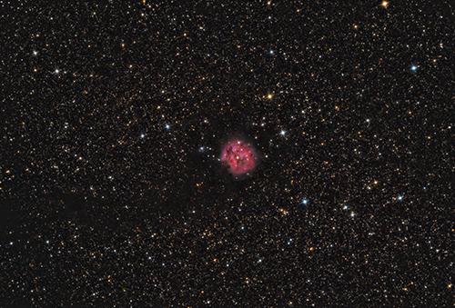 IC5146 Cocoon-Nebula © 2021 by Tobias Wittmann · wittinobi