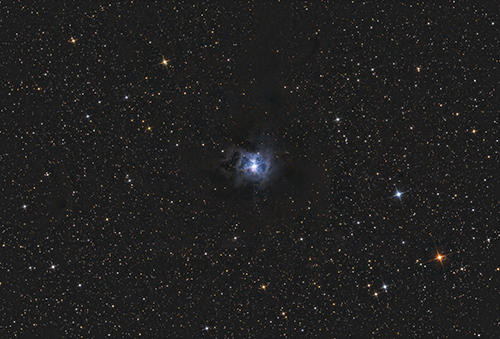 NGC7023 Iris-Nebula © 2021 by Tobias Wittmann · wittinobi
