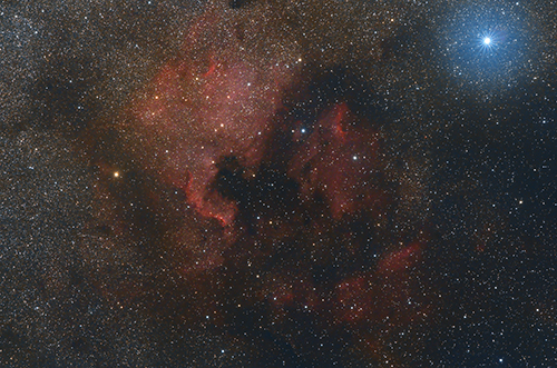 LDN935 © 2022 by Tobias Wittmann · wittinobi